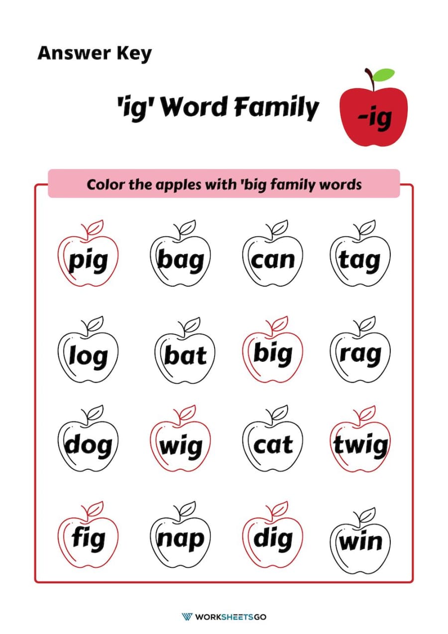 Ig Word Family Worksheet Answer Key