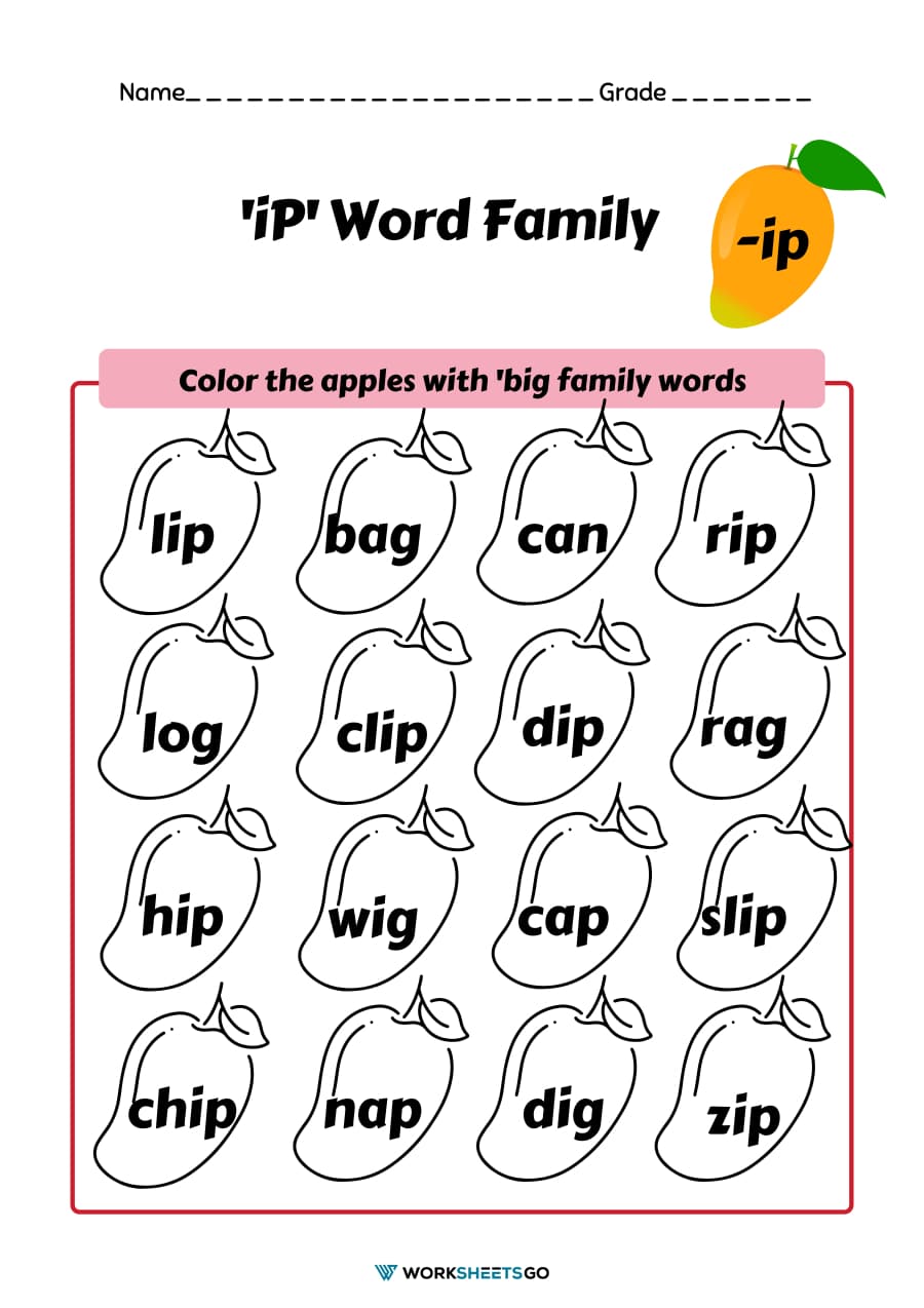 Ip Word Family Worksheet