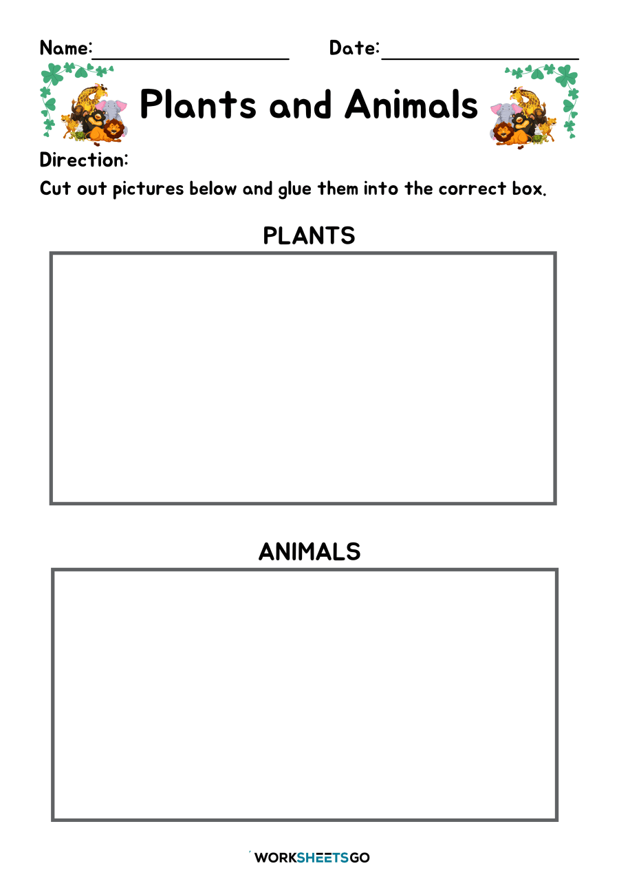 Plants And Animals Worksheet