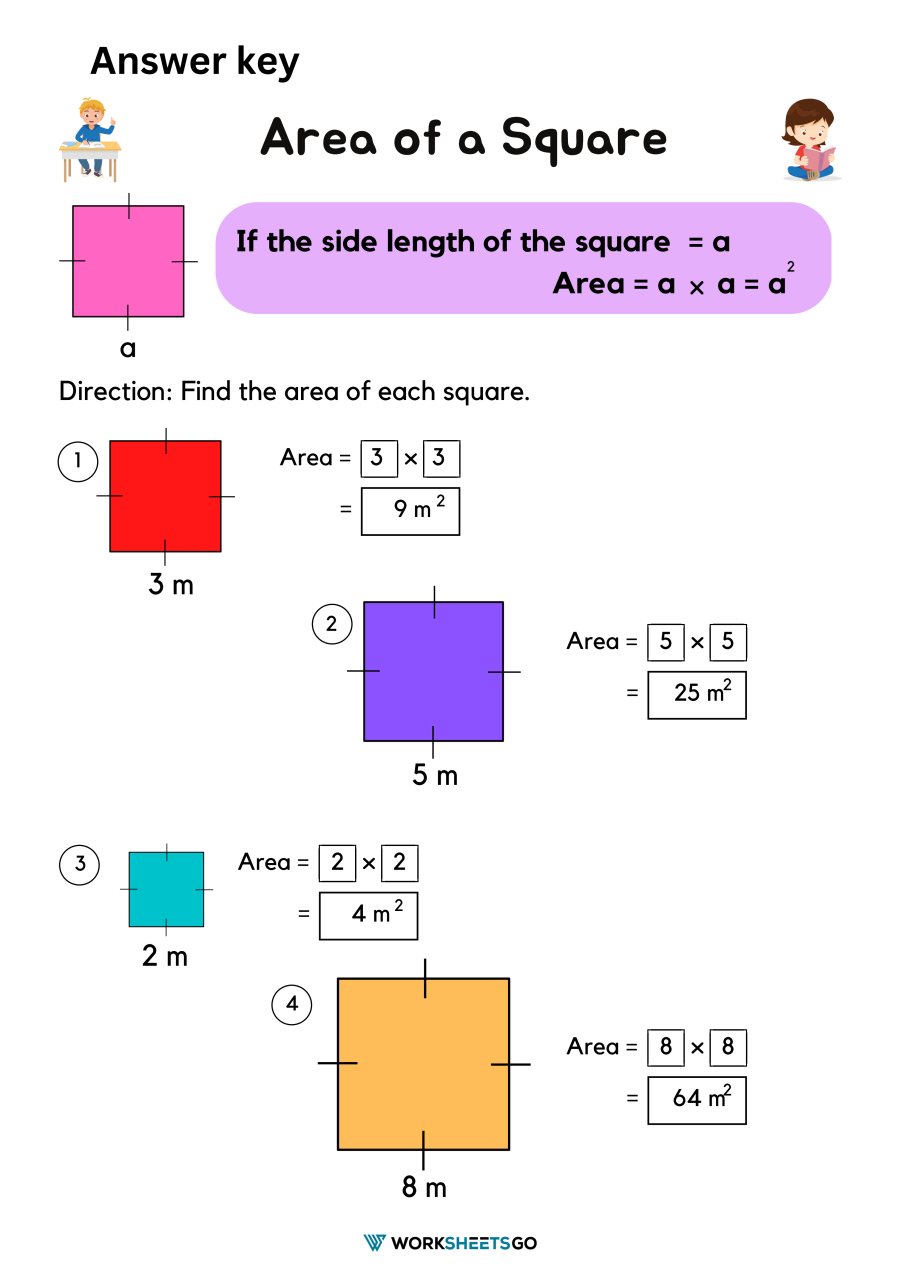 area of square assignment expert