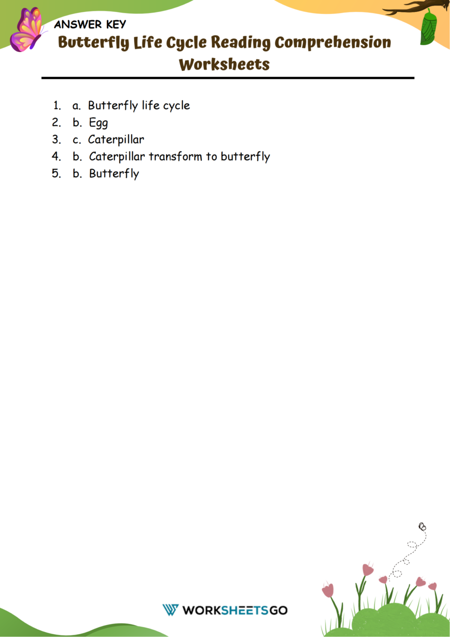 Butterfly Life Cycle Reading Comprehension Worksheets Answer Key 1